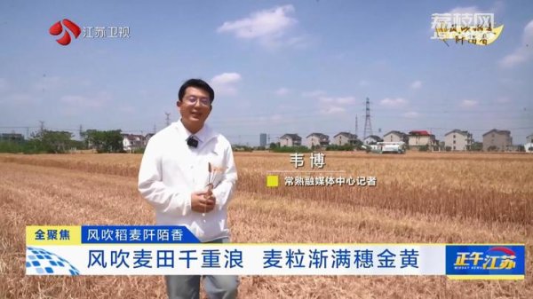 哈福配资 全聚焦│风吹稻麦阡陌香