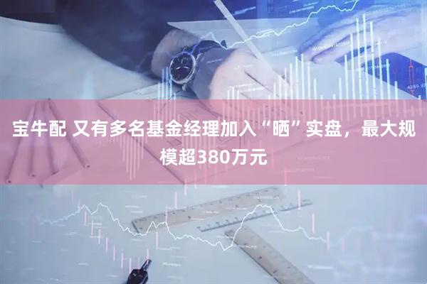 宝牛配 又有多名基金经理加入“晒”实盘，最大规模超380万元