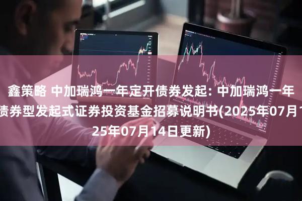 鑫策略 中加瑞鸿一年定开债券发起: 中加瑞鸿一年定期开放债券型发起式证券投资基金招募说明书(2025年07月14日更新)
